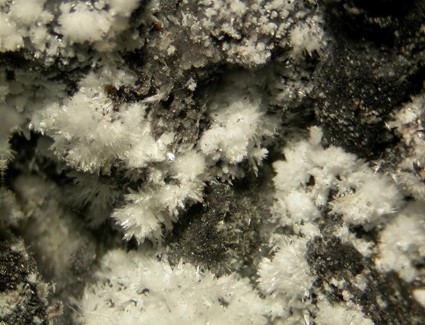 Wollastonite in nature. Fine Crystals.